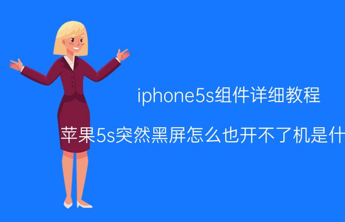 iphone5s组件详细教程 苹果5s突然黑屏怎么也开不了机是什么原因？